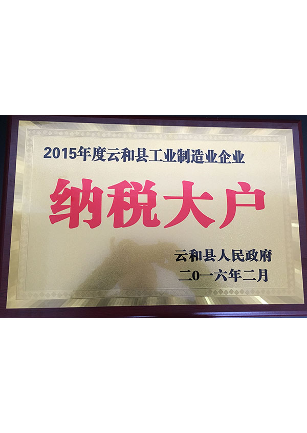 2015年度云和县工业制造业企业纳税大户 副本