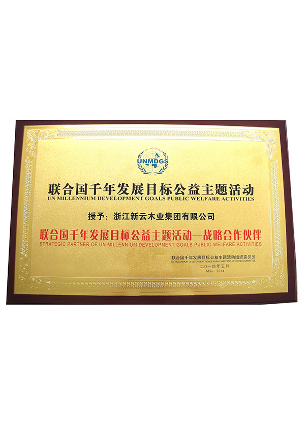 联合国千年发展目标公益主题活动
