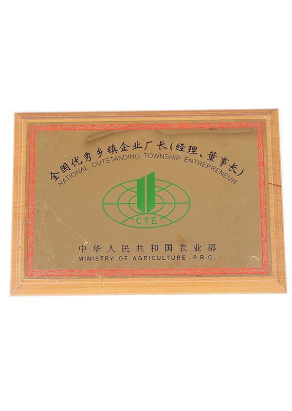 全国优秀乡镇企业厂长