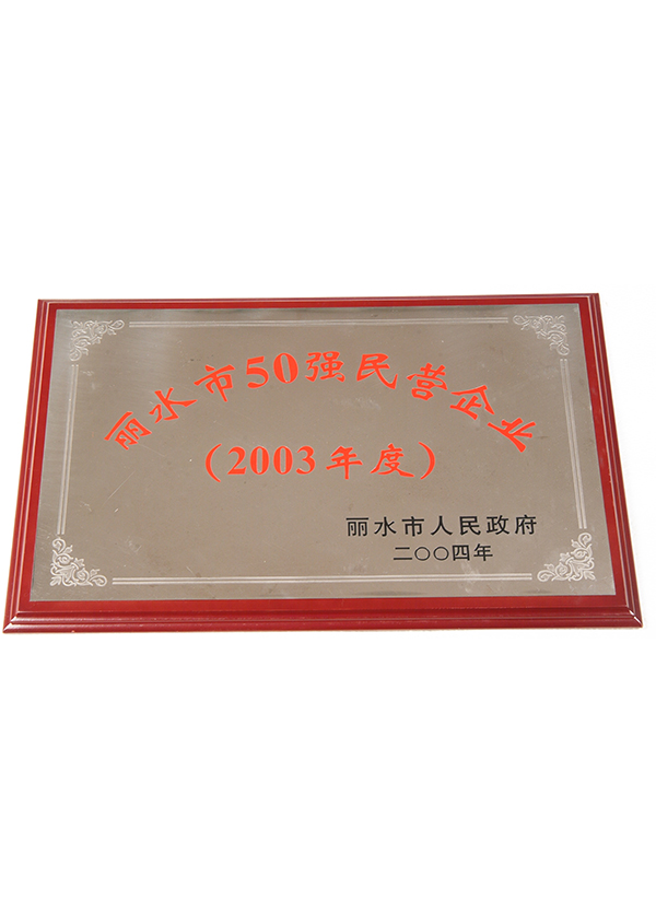 丽水市50强企业